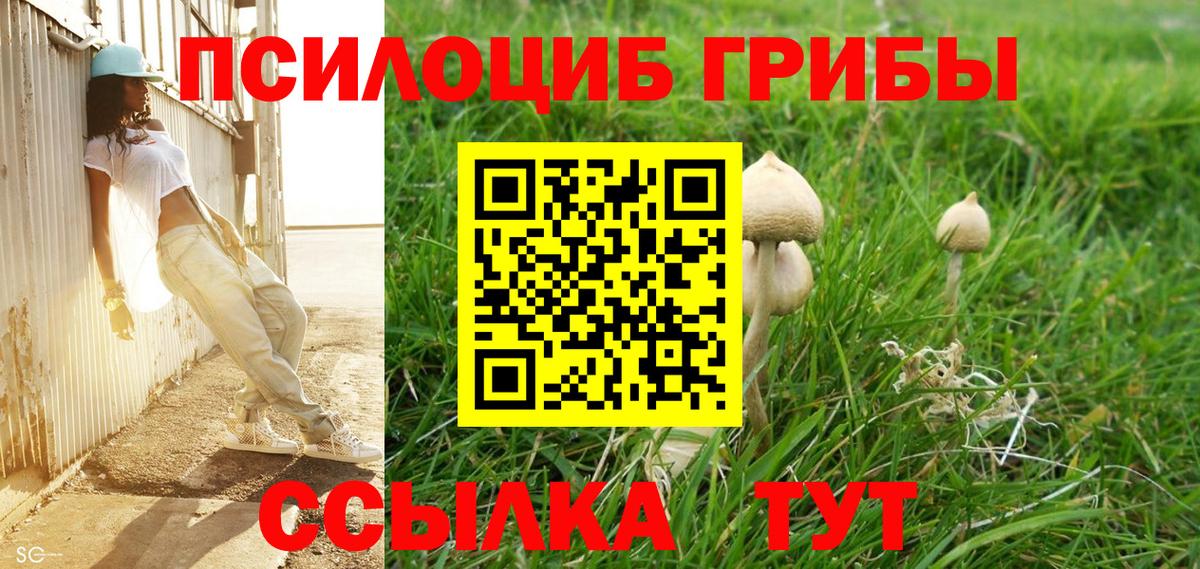 Кизилюрт  Галлюциногенные грибы Psilocybe  Псилоцибиновые грибы Psilocybe  Вход с VPN 