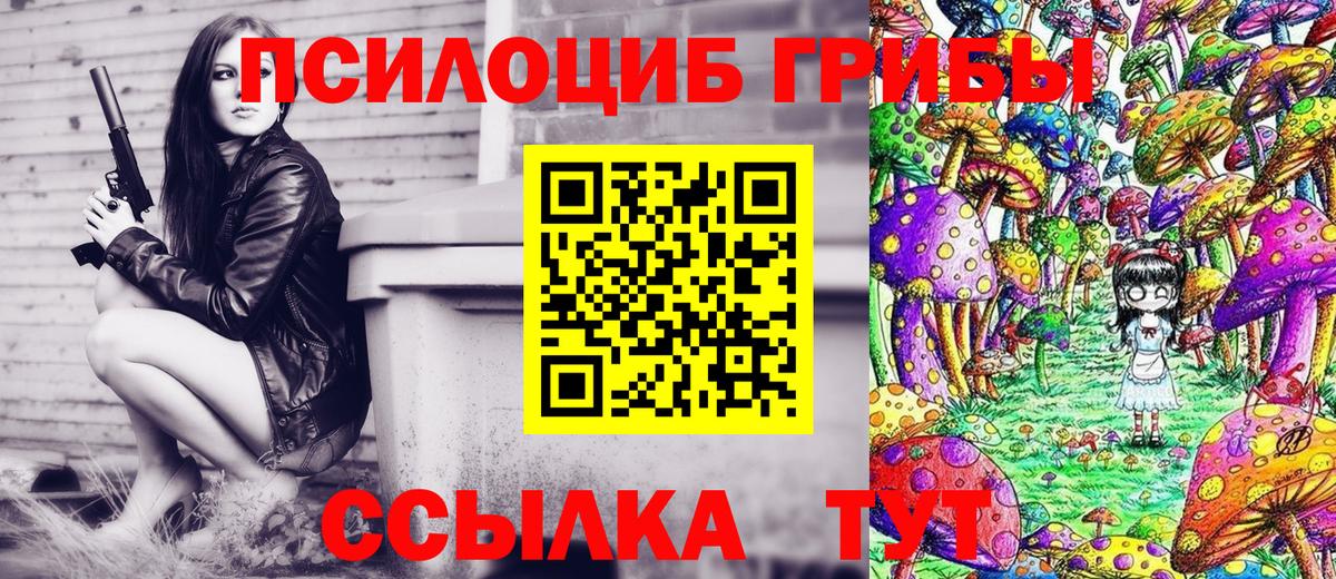 Галлюциногенные грибы Cubensis Кизилюрт